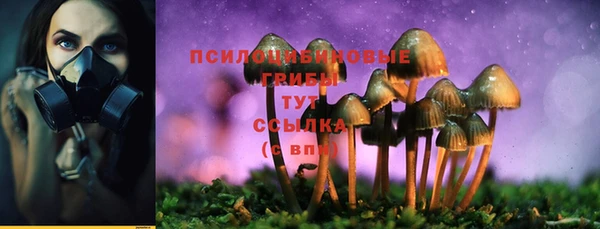 МДПВ Красноперекопск