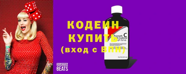 ECSTASY Кукмор