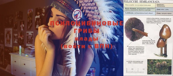 прущие крисы Краснотурьинск