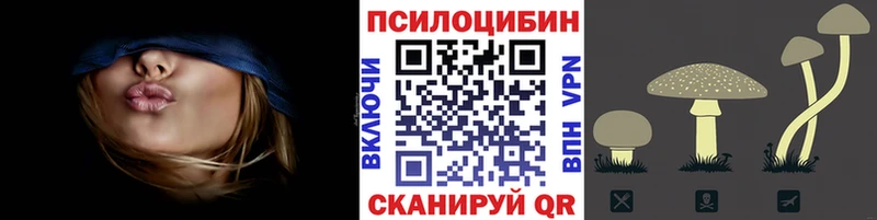 Галлюциногенные грибы Psilocybine cubensis  наркошоп  Куртамыш 