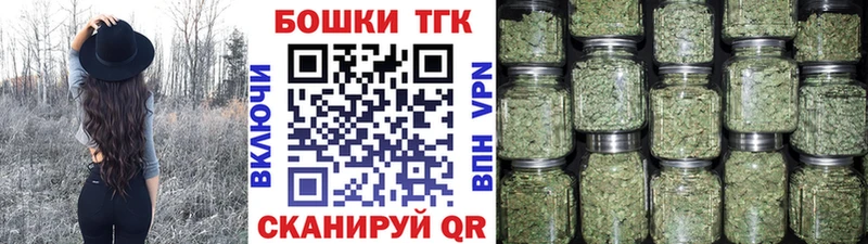 Бошки марихуана гибрид где купить наркоту Куртамыш